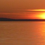 header-bg-1